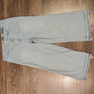 J. Jill Soft Blue Wide Leg Jeans